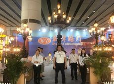 威牌路灯：2018年广州光亚展再续起航！